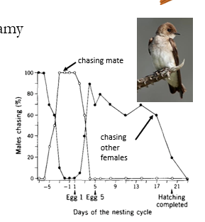 <ul><li><p>monogamy is not “strict”</p><ul><li><p>social monogamy ≠ genetic monogamy </p></li><li><p>extrapair copulations (EPCs) occur</p><ul><li><p>85% of monogamous bird species</p></li><li><p>5-50% offspring from EPC</p></li><li><p>benefits of EPCs</p><ul><li><p><u>males</u>: higher reproductive success</p></li><li><p><u>females</u>:  benefit: better quality genes or access to better/more resources</p></li></ul></li><li><p>males try to prevent EPCs with mate guarding and frequent copulations</p></li></ul></li></ul></li></ul><p></p>