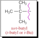 <p>Start with a B! Not a t since it is hyphenated.</p>