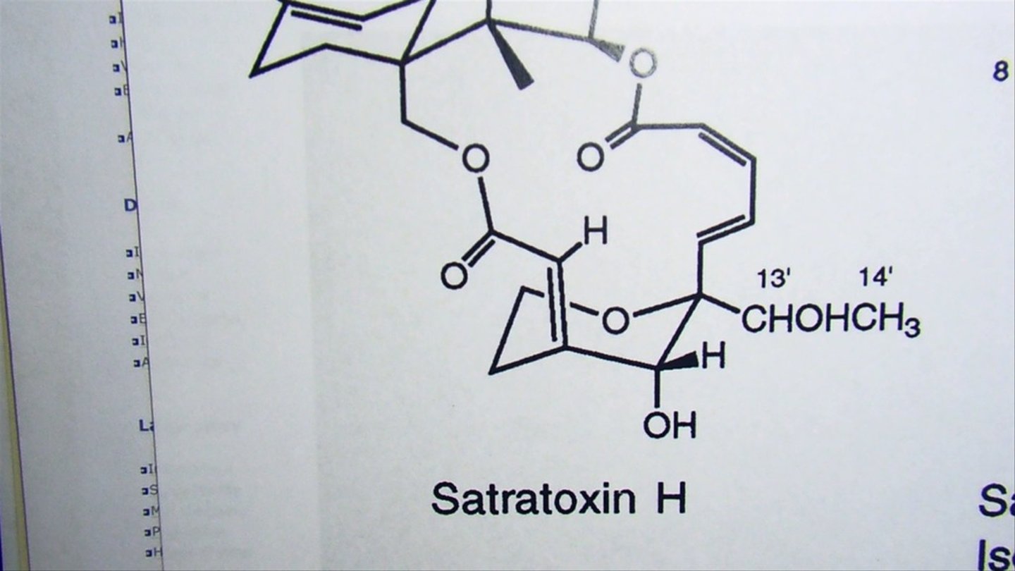 <p>Satratoxin H. {macrocyclic}</p>