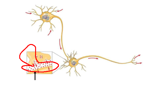 <p>define (a lil foggy)</p>