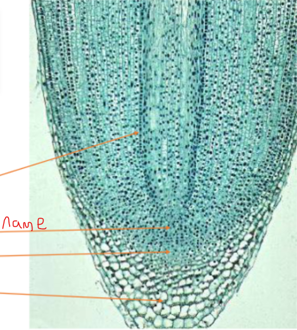 <p>What is this called?</p>