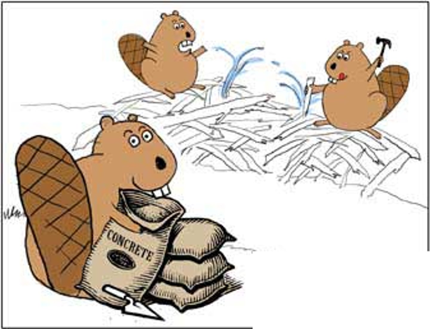 <p>the role or position that an organism has in an ecosystem</p>
