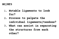 <p><strong>Distal Limb Palpation (FL/HL) continued - Metacarpus/Metatarsus</strong></p>
