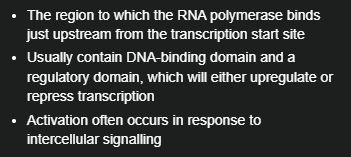 <p>The region to which the RNA polymerase binds just upstream from the transcription start site</p>