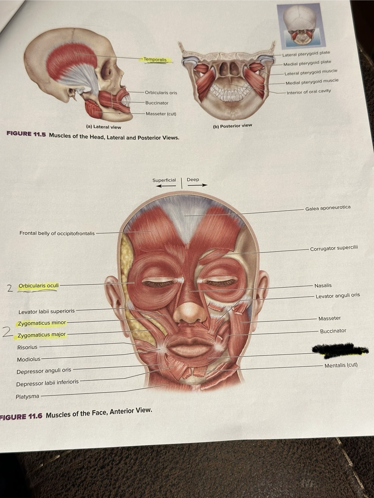 <p>Location crossed out</p>