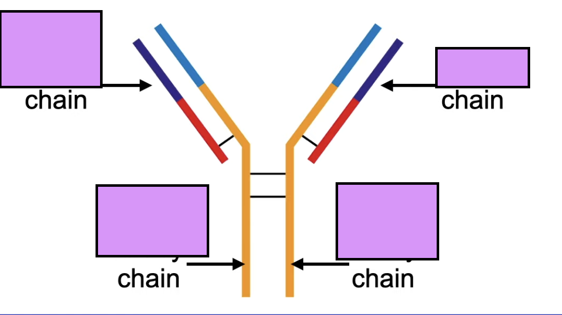 <p>complete the labels</p>