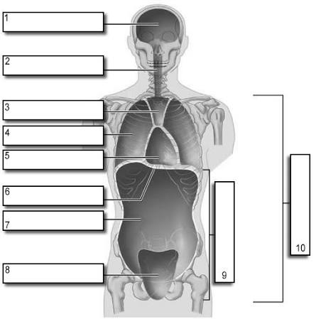 <p>#5</p>
