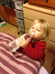 <p>to drink</p>