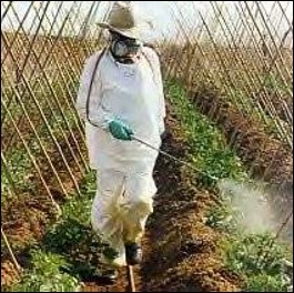 <p>Directed or spot spray</p>