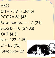 <p>Given a 2w old, 45kg Charolais bull calf w/ diarrhea who is 10% dehydrated with the following BG analysis. Calculate the total mEq of base (HCO3) needed to correct the acidosis.</p>