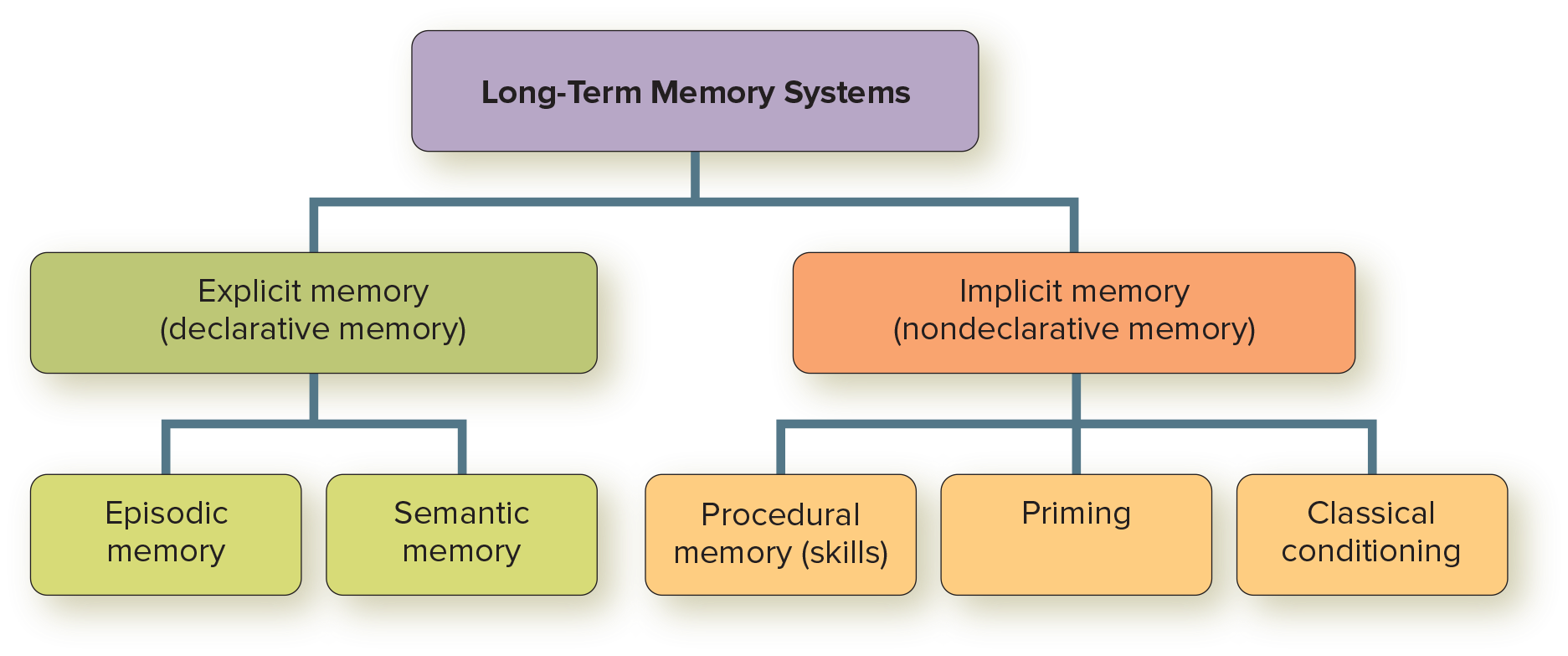 <p>a relatively permanent type of memory that stores huge amounts of information for a long time</p>