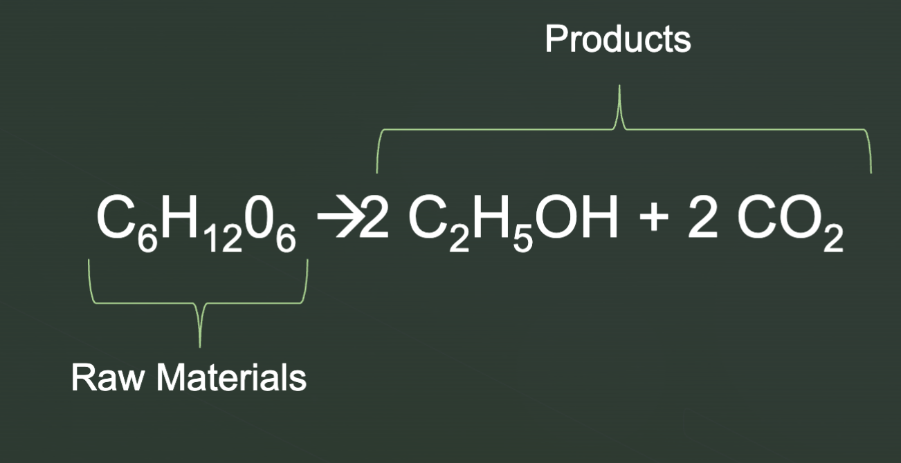 <p>Sugar → CO2 &amp; Ethanol </p>