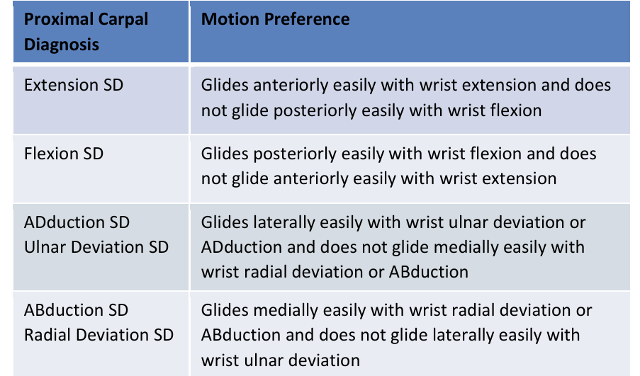 <p>Extension, flexion, abduction, and adduction</p>