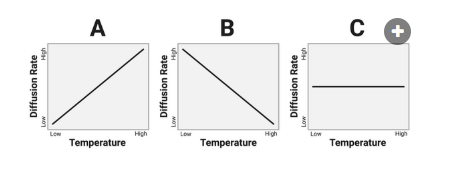 <p>The figure shows three hypothetical relationships between temperature and the rate of diffusion.<br>Which graph shows the most likely relationship?</p><p><br>a. Graph A<br>b. Graph B<br>c. Graph C</p>