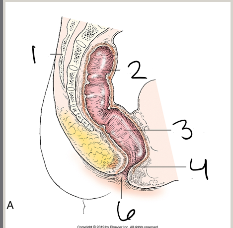 <p>what is 1?</p>
