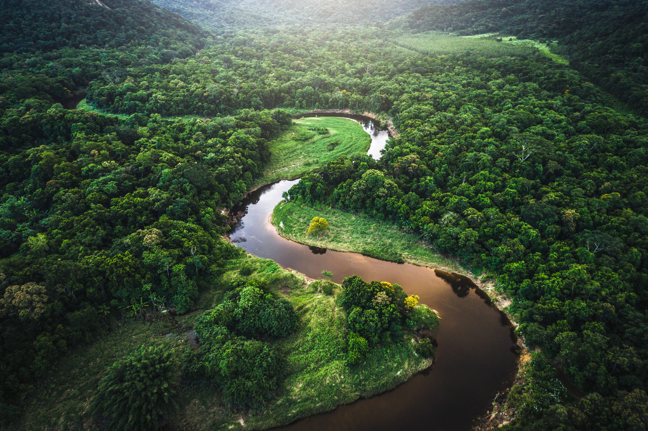 <p>What biome is in this picture?</p>