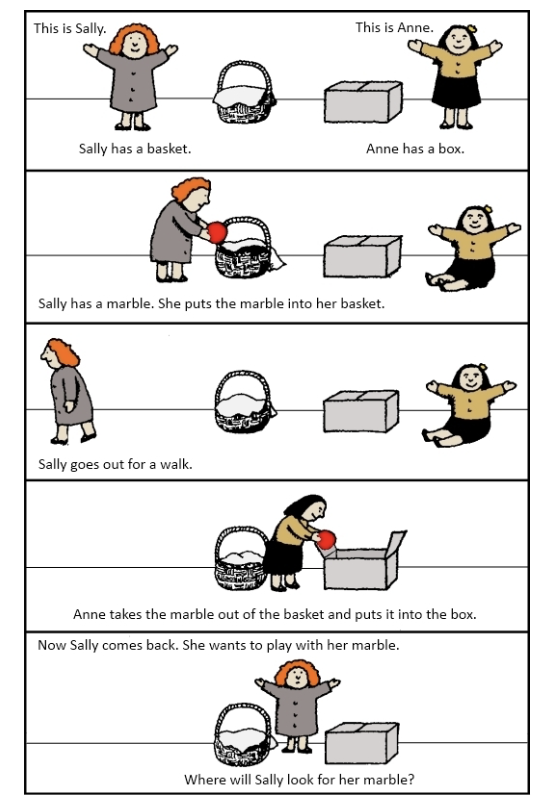 <p>theory of mind</p>