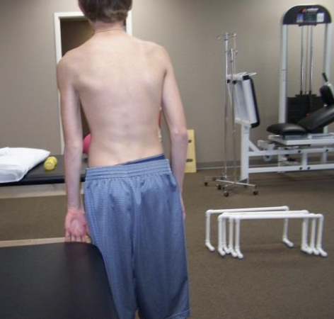 <p>Subjects placed their hand on the anterior edge of the surface with palm facing posteriorly. Subjects were instructed to extend their trunk and push their hand maximally against the surface in the direction of shoulder extension and instructed to retract and depress the scapula; the isometric contraction was performed for 5 seconds.</p><p>Note: Greatest posterior delt activation, greater SA than UT contraction. Early SA activation in neutral postion</p>
