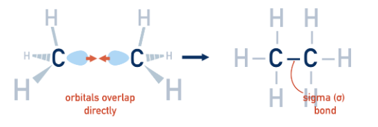 <p>It forms a single bond. Sigma bonds are formed from the end to end overlap of atomic orbitals (s orbitals overlap this way as well as p orbitals). They all<span>ow free rotation around single C–C bonds (not across C=C).</span></p>