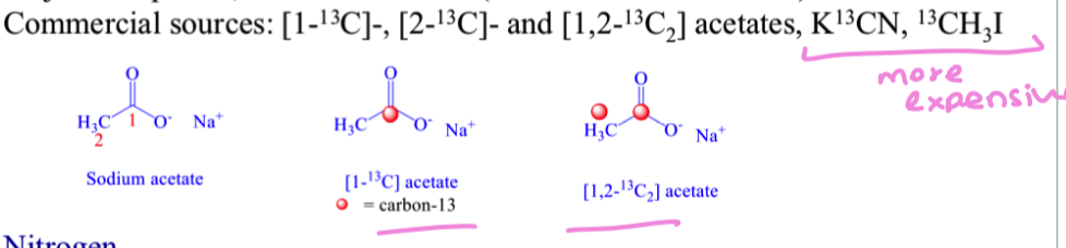 <ul><li><p>13C (1.1% natural abundance)</p></li></ul><p></p>