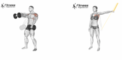 <p>What are the exercises for the coracobrachialis?</p>