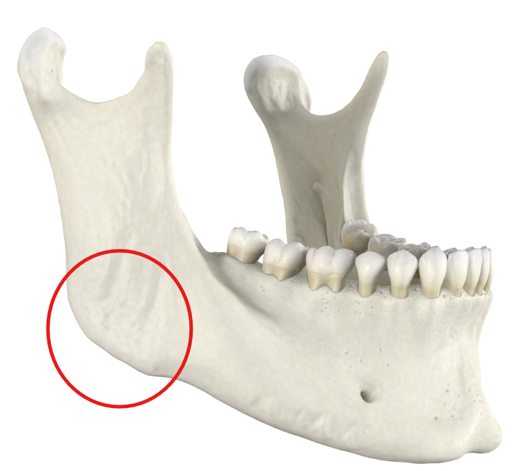 <p>this angle</p>