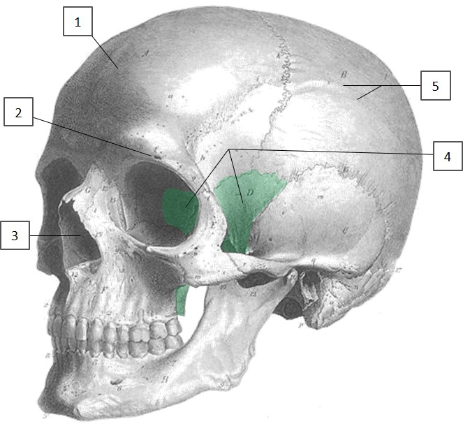 <p>2</p>