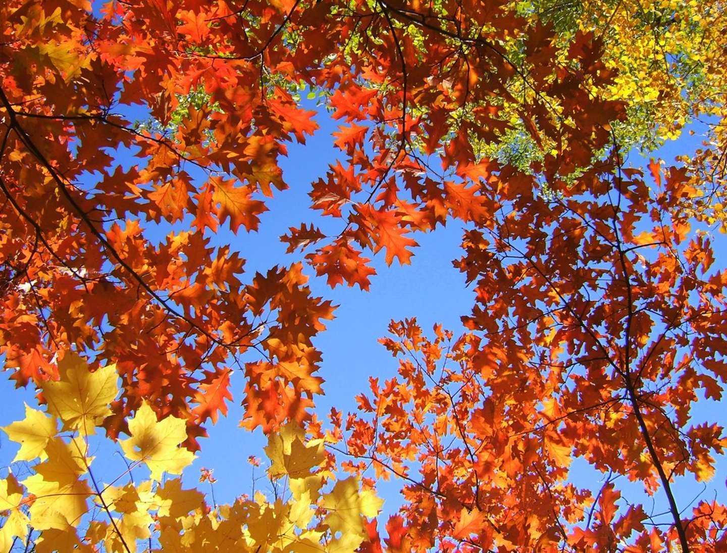 <p>September, October, November</p>