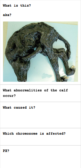 <p>.</p>