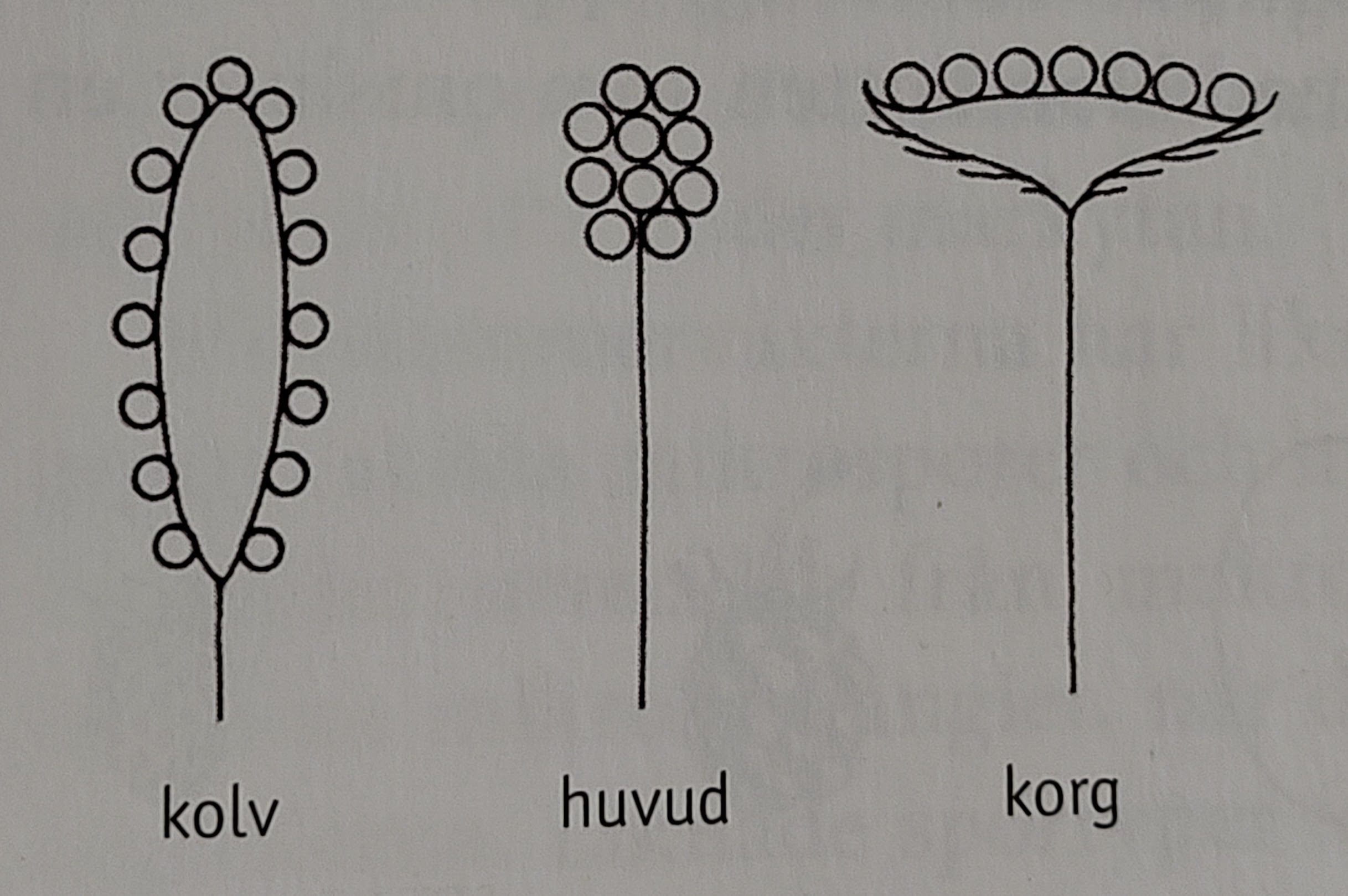 <p></p>