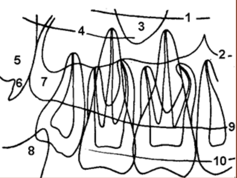 <p>Hvad viser 6?</p>