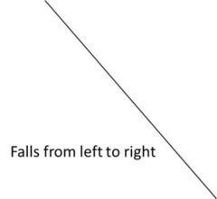 <p>The line will fall from left to right.</p><p>As the Independent Variable (X) increases, the Dependent Variable (Y) decreases.</p>