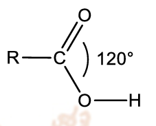 <ul><li><p>contains the carboxyl group (-CO<sub>2</sub>H)</p></li><li><p>trigonal planar about the carboxyl carbon (bond angle=120)</p></li><li><p>carbonyl carbon is sp<sup>2</sup> hybridised</p></li></ul><p></p>