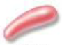 <p>What shape is this?</p>