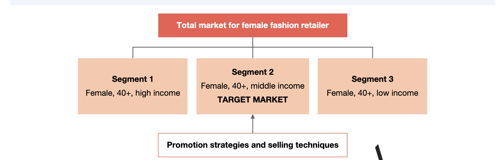 <ul><li><p>Primary Target Market: Main focus, most money and marketing goes here</p></li><li><p>Secondary Target Market: A smaller and less important market segment</p></li></ul><p></p>