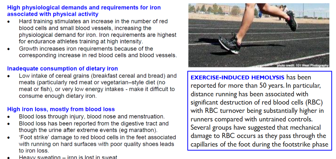 <ol><li><p>High physiological demands + requirements for iron associated with physical activity: </p><ol><li><p>Hard training <strong>stim increase in RBC + blood vessels</strong></p></li></ol></li><li><p>Inadequate consumption of dietary iron</p><ol><li><p>Low intake of cereal/grains + meats or very low E intake = make it hard to meet req.</p></li></ol></li><li><p>High iron loss, mostly from blood loss</p><ol><li><p>Injury, extreme events, <strong><em><u>FOOT STRIKE, heavy sweating</u></em></strong></p></li></ol></li></ol><p></p>