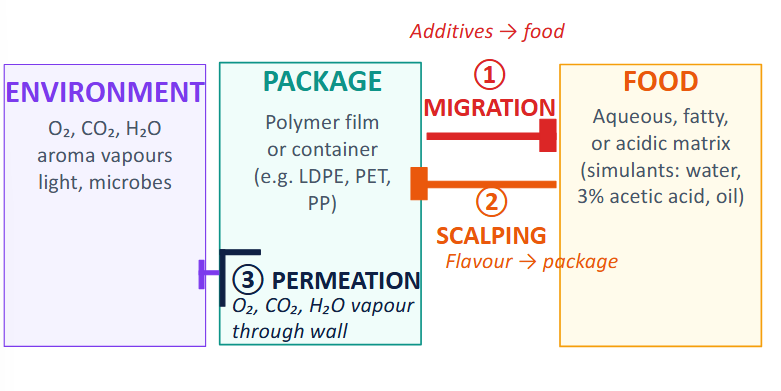 <ol><li><p>Migration (additives (in packaging) → food)</p></li><li><p>Scalping (flavour → package)</p></li><li><p>Permeation (O<sub>2</sub>, CO<sub>2</sub>, H<sub>2</sub>O vapor through wall)</p></li></ol><p></p>