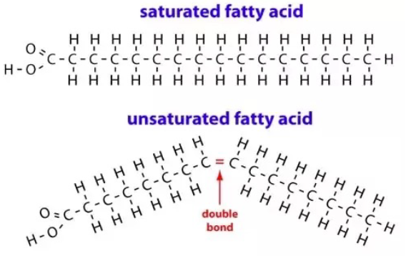 <p>Saturated = no double bonds (only single bonds). Unsaturated = one or more double bonds in the fatty acids.</p>