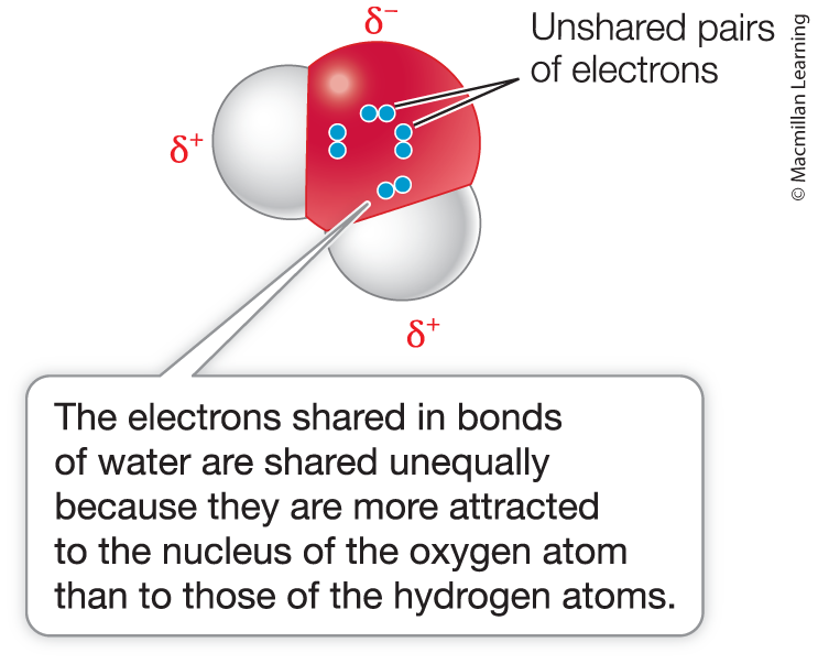 <p>Polar covalent bond</p>