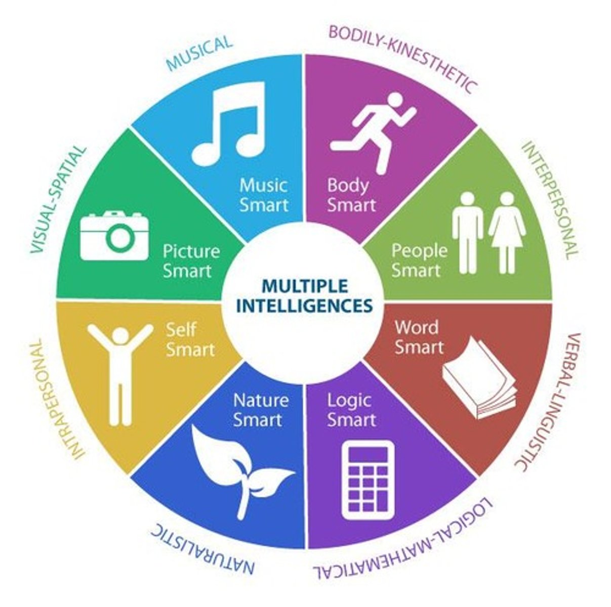 <p>our abilities are best classified into eight independent intelligences, which include a broad range of skills beyond traditional school smarts</p><p>this theory is heavily incorporated into educational theory.</p>