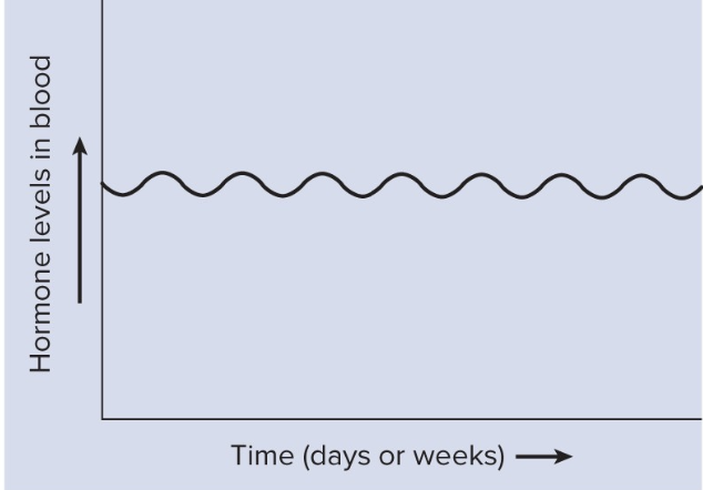<p>Chronic hormone secretion </p>