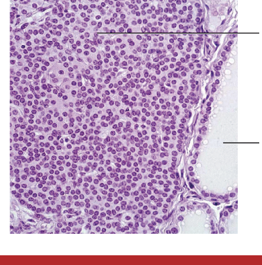 <p>what is this + label</p>