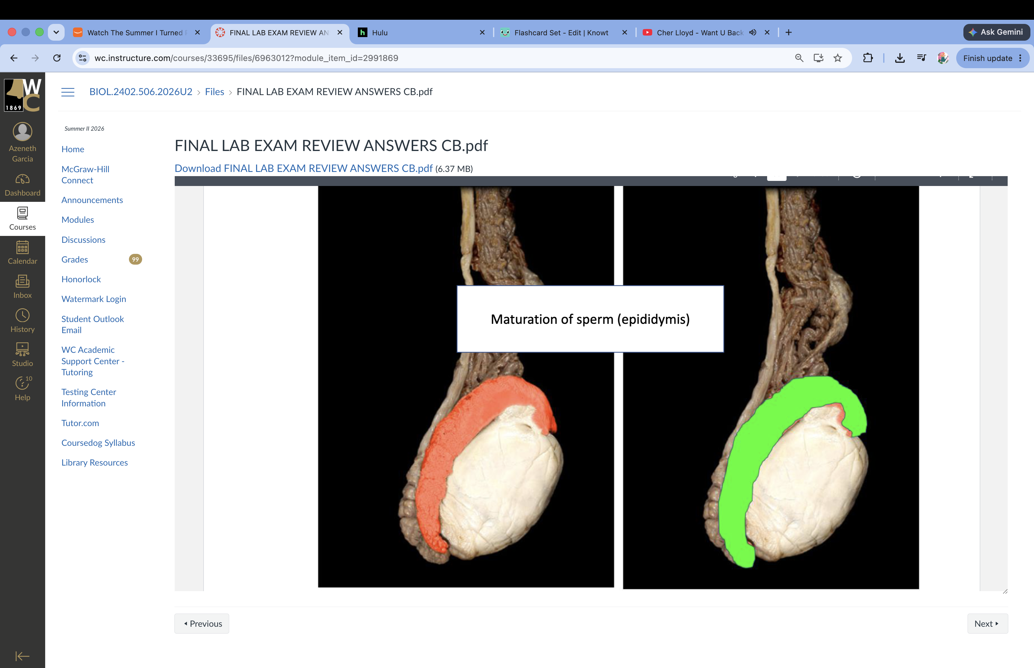 knowt flashcard image