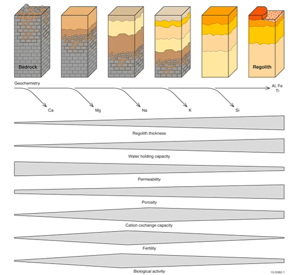 <p></p><p>What distinguishes young from mature soils?</p>