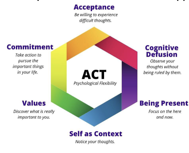<p>Acceptance and Commitment Therapy Practice Model </p>