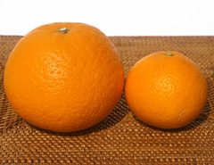 <p>похожий</p>