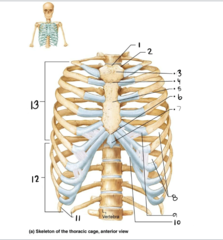 <p>3</p>