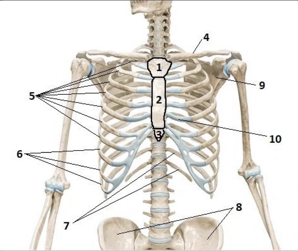 <p>2</p>