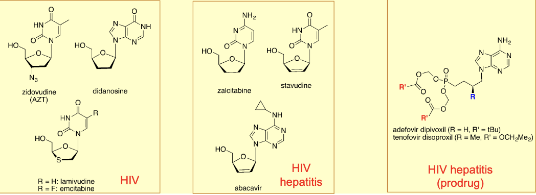 <p>Nucleoside structures: phosphorylated, incorporated in growing DNA chain (chain interruption), same as DNA polymerase inhibitors</p><ul><li><p>PROBLEM: in some cases (HIV) the virus does not produce TK → Host enzymes is used to activate NRTI instead→ less selectivity as all cells are affected</p></li><li><p>caution: reverse transcriptase is still a DNA polymerase, which humans have → Selective affinity for RT vs. DP of the host is vital</p></li></ul><p></p>