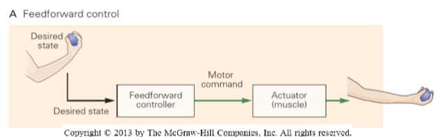 <p>generation of motor commands based on the desired state, the movement is not monitored for errors, sensory information to detect imminent perturbations and initiate pro-active strategies based on prior experience.</p>